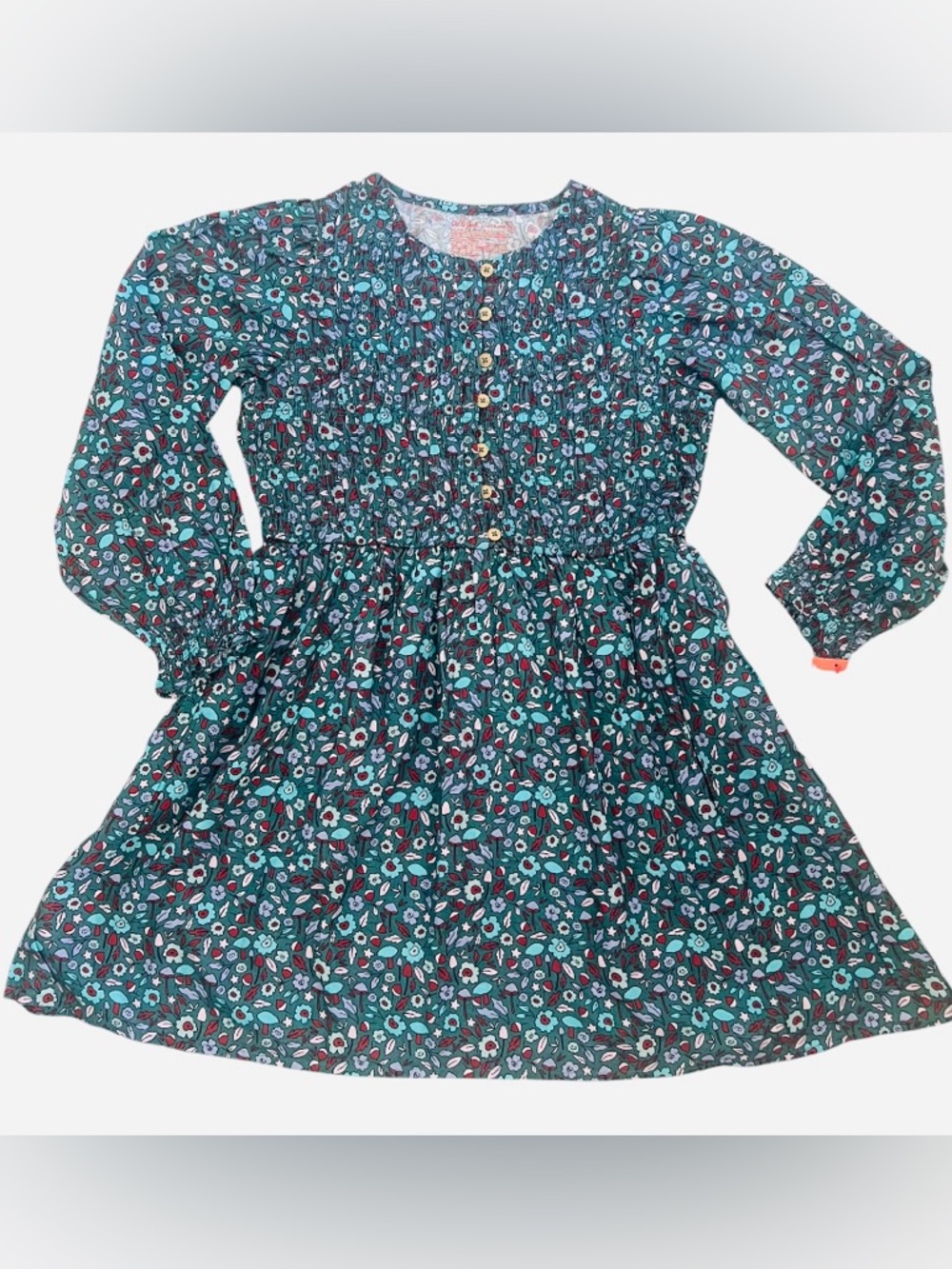 NWT- Cat & Jack SMOCKED Brown and Cream Mushroom 🍄 & Acorn Print Dress